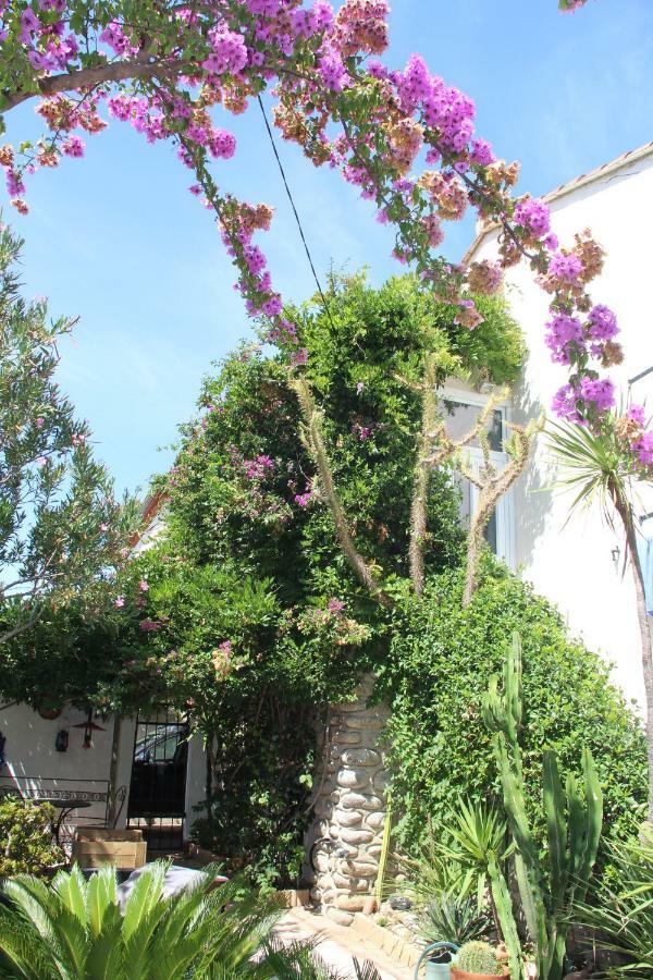 Appartement Dans Quartier Calme Avec Jardin Pour 2 Pers Argelès-sur-Mer Exteriér fotografie